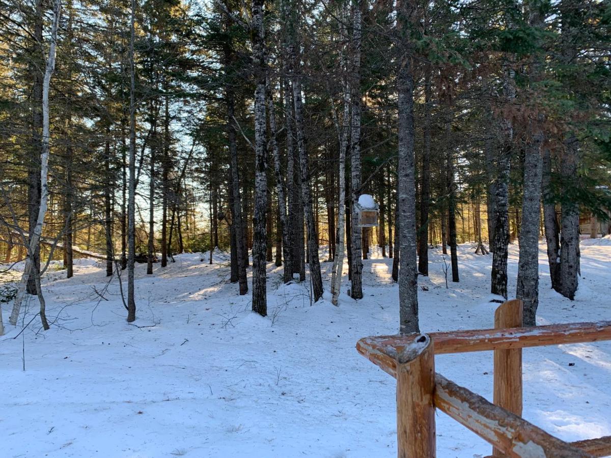 L'Auberge Refuge Du Trappeur Saint Mathieu Du Parc Luaran gambar