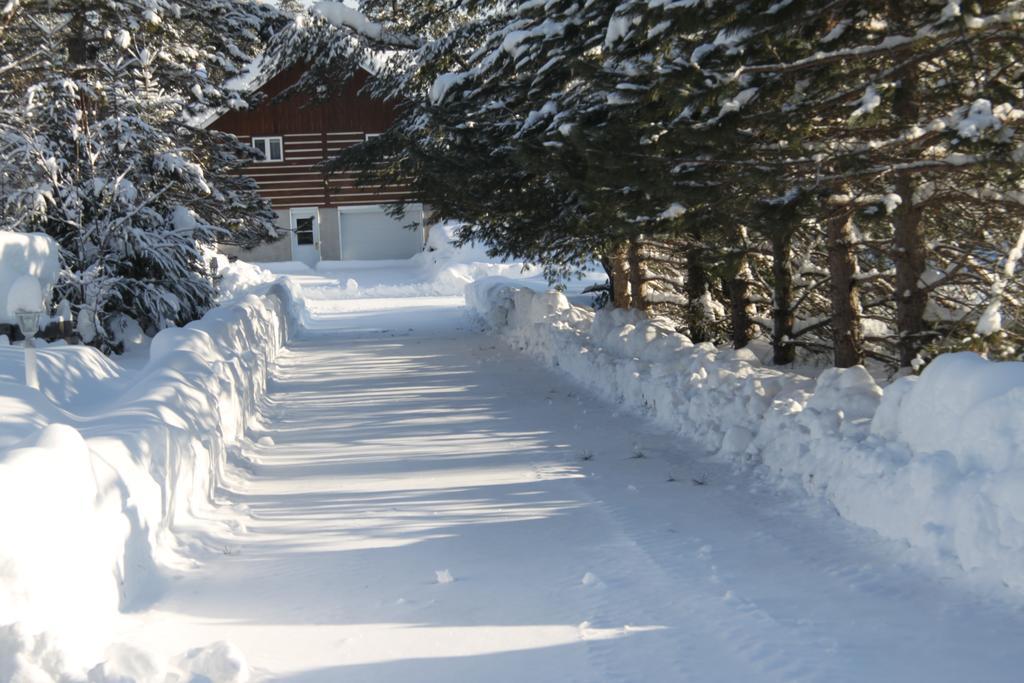 L'Auberge Refuge Du Trappeur Saint Mathieu Du Parc Luaran gambar